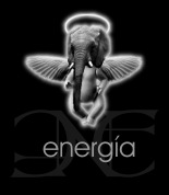 Radio protegida por EL NI�O ELEFANTE