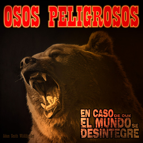 Osos Peligrosos - Podcast