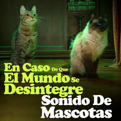 Sonido De Mascotas - Podcast