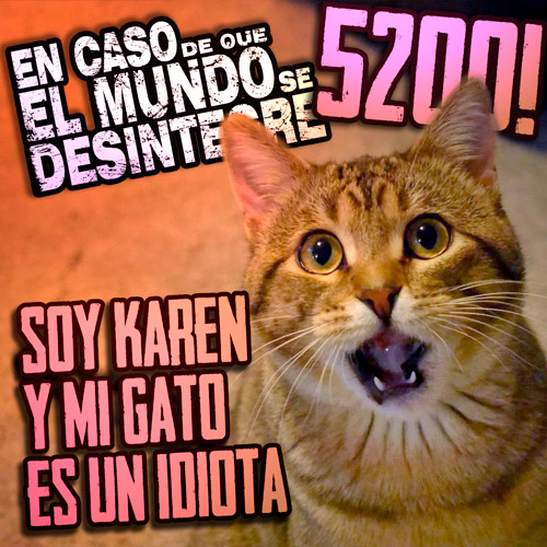 Soy Karen Y Mi Gato Es Un idiota - Podcast