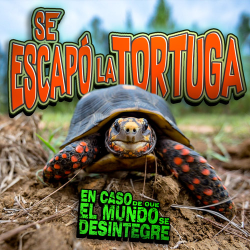Se Escapó La Tortuga - Podcast