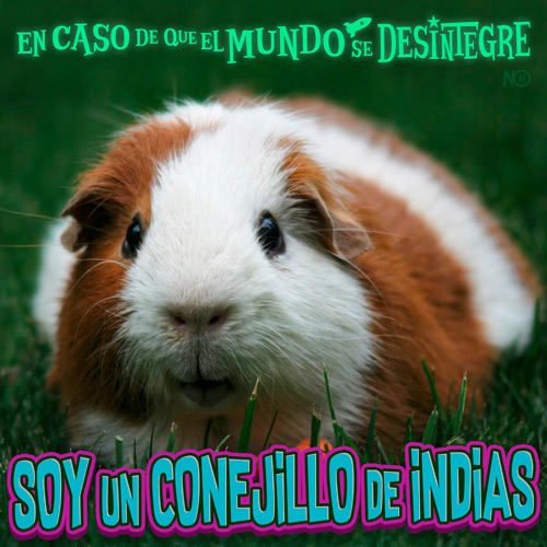 Soy un Conejillo de Indias - Podcast