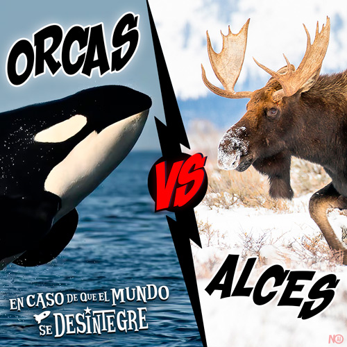 Orcas Vs Alces - Podcast