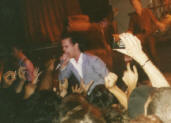 Nick Cave en concierto Nick Cave en concierto