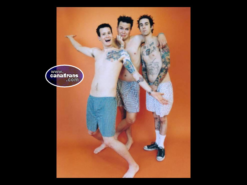 wallpaper -blink 182