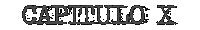 cap�tulo 10